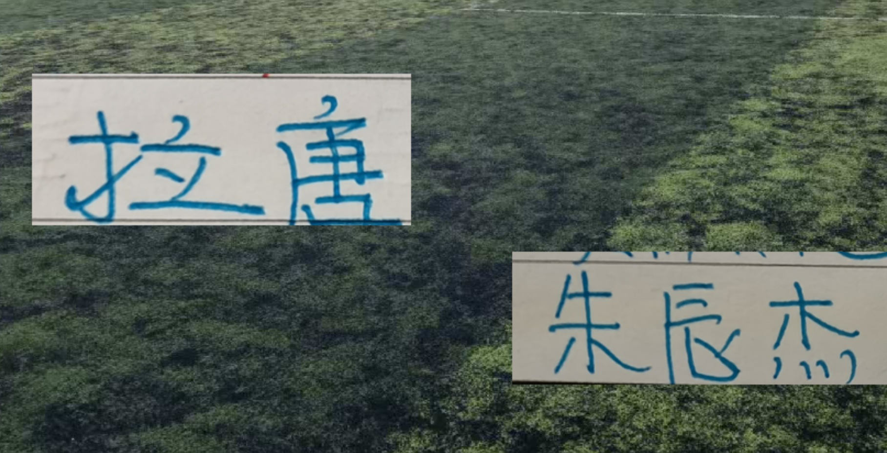 勇士队格林谈湖人队里夫斯顶薪:不能表现挣扎,否则骂得体无完肤